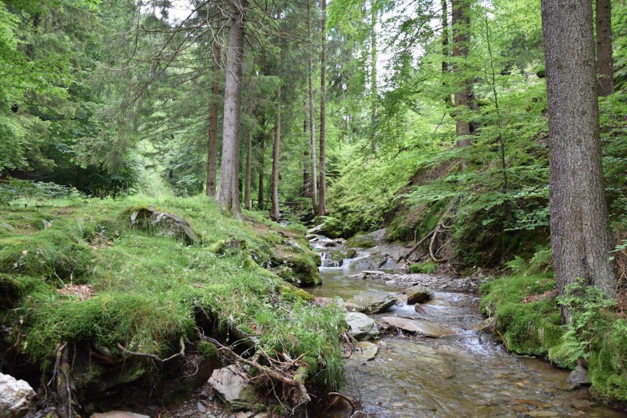 Marschalls Hotel Am Rennsteig Neuhaus am Rennweg Bagian luar foto